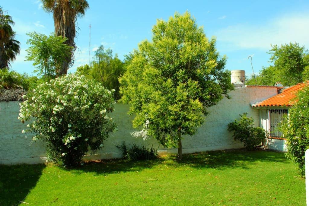 Big Beautiful House With Garden In 5Ta Seccion Neighbourhood Βίλα Μεντόζα Εξωτερικό φωτογραφία